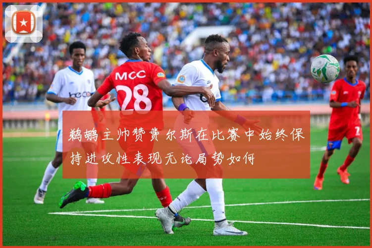 鹈鹕主帅赞费尔斯在比赛中始终保持进攻性表现无论局势如何