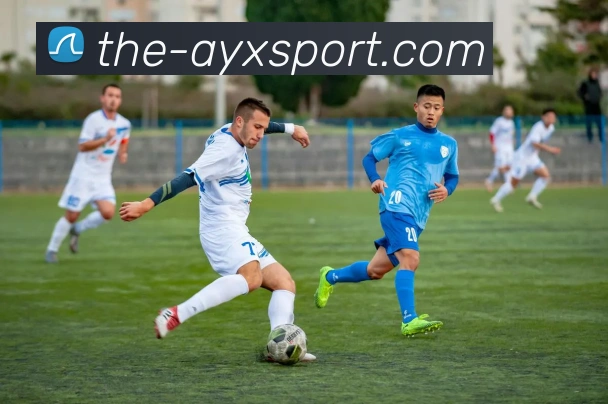 爱游戏体育平台生态图